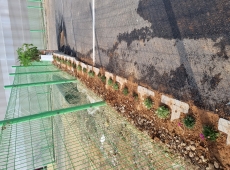 ���̽����̵�