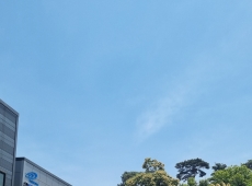 ���̽����̵�