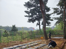 ���̽����̵�