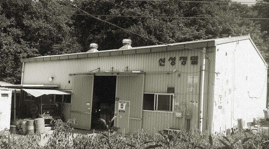 ȸ�� ��������